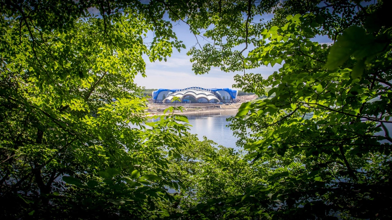 Приморский Океанариум - фото 33
