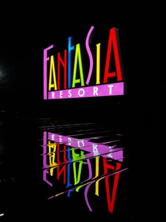 Fantasia - фото 10