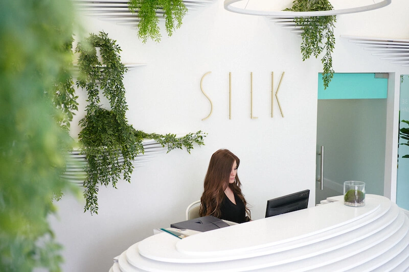 Silk - фото 1