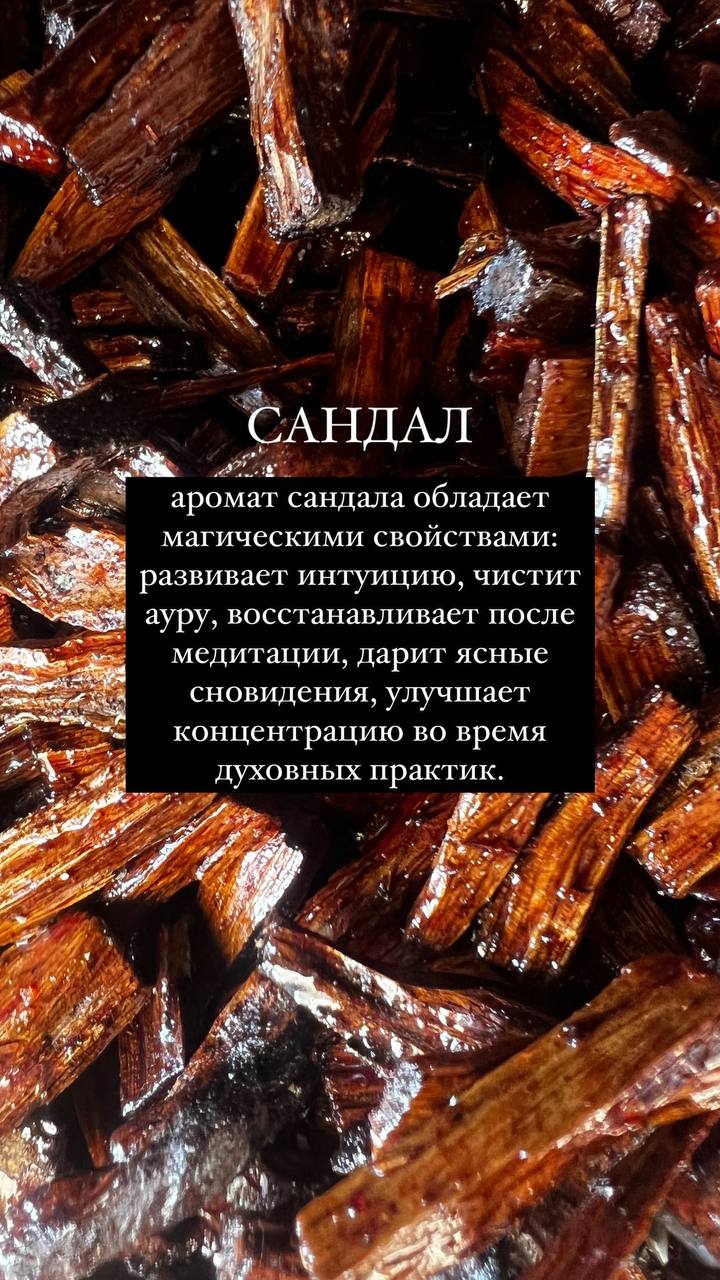 Место силы - фото 1