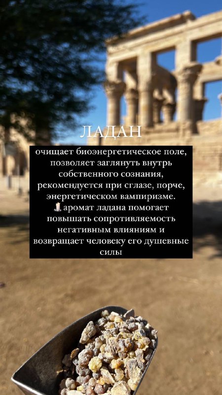 Место силы - фото 2