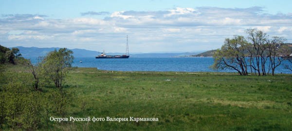 Остров Русский - фото 8