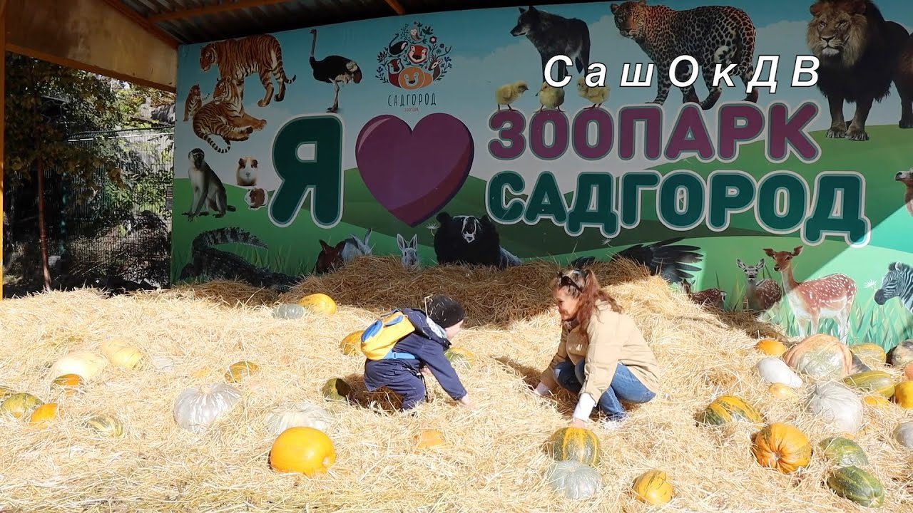 Садгород - зоопарк - фото 1