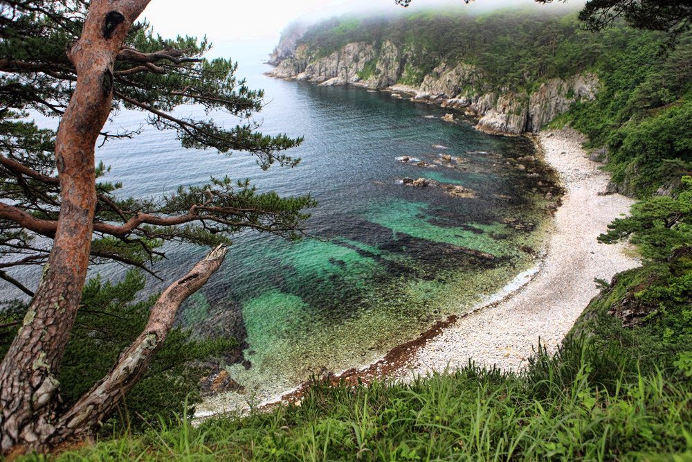 Дальневосточный морской заповедник