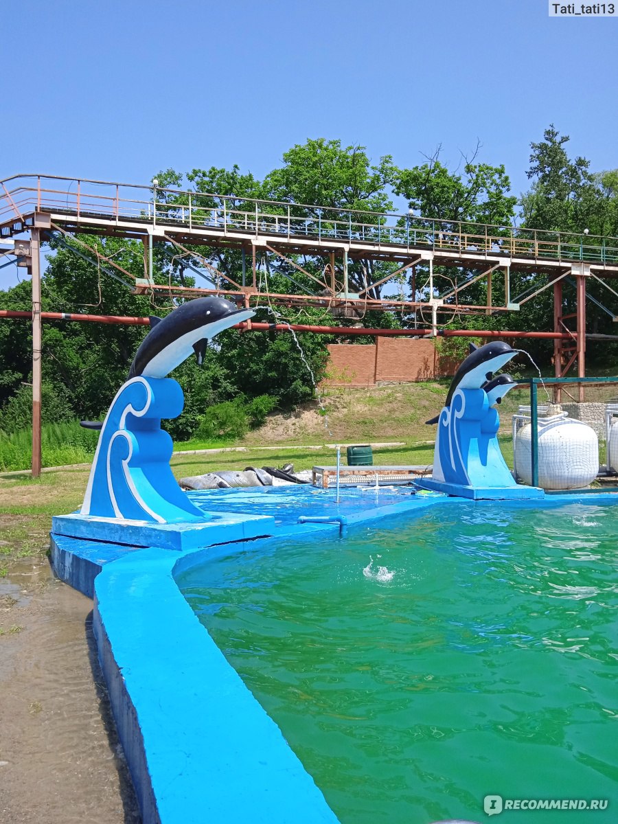 Зеркальный - водно-оздоровительный комплекс - фото 2