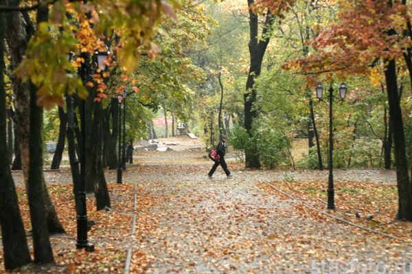 Покровский парк - фото 6