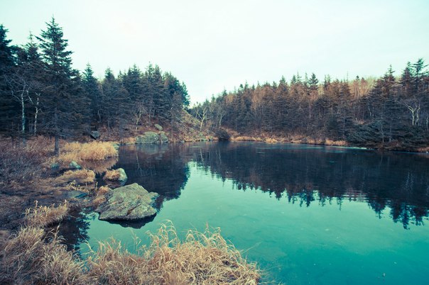 Гора Ольховая