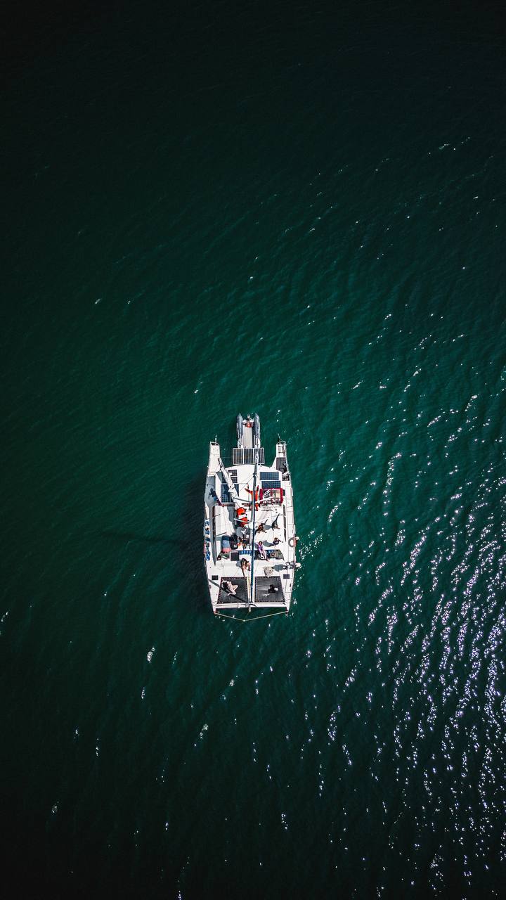Твое Море Вл - компания по организации морских прогулок - фото 8
