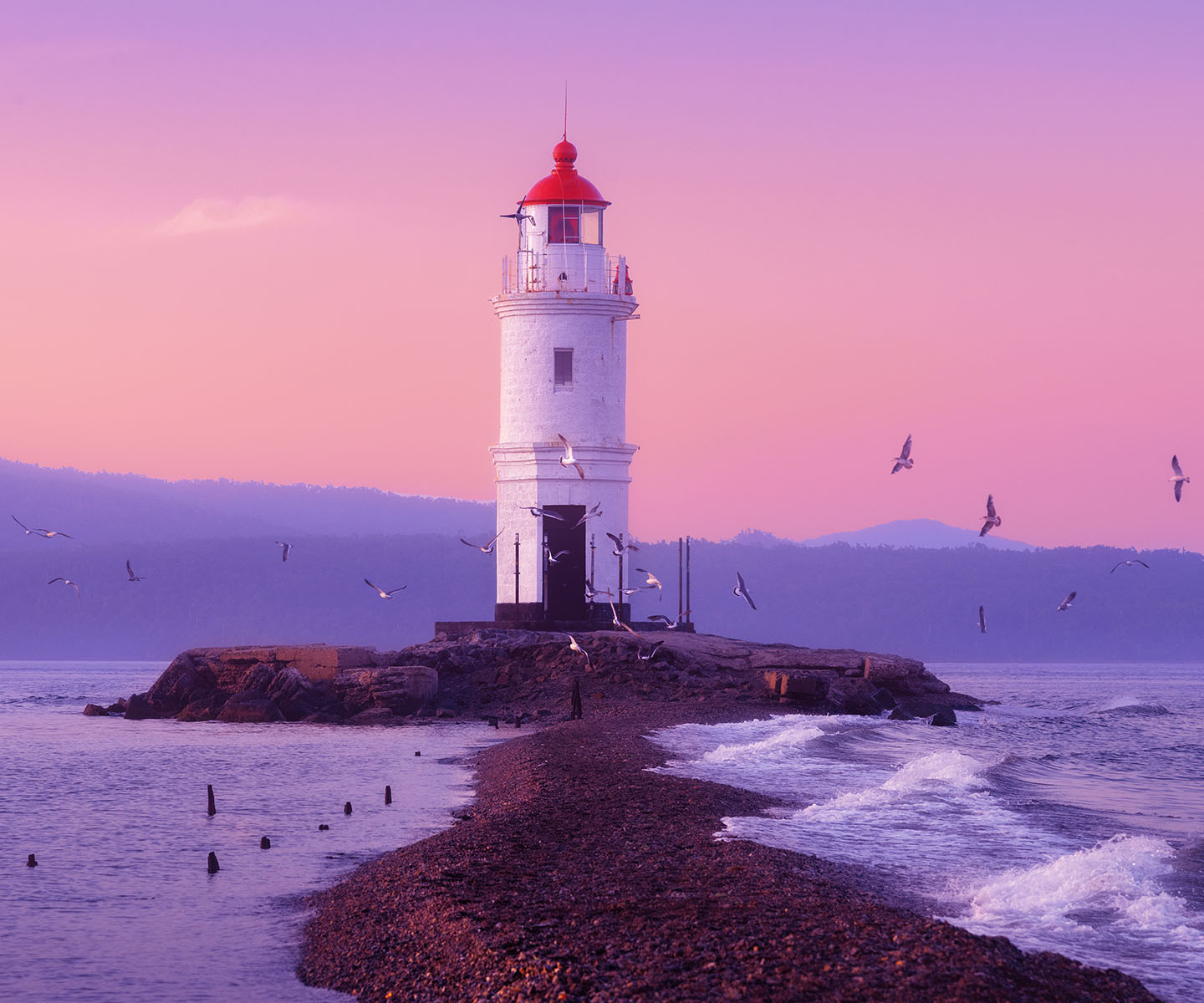 What_Sup_Vl - компания по организации морских экскурсий - фото 10