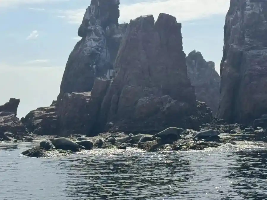 Морское удовольствие - фото 4
