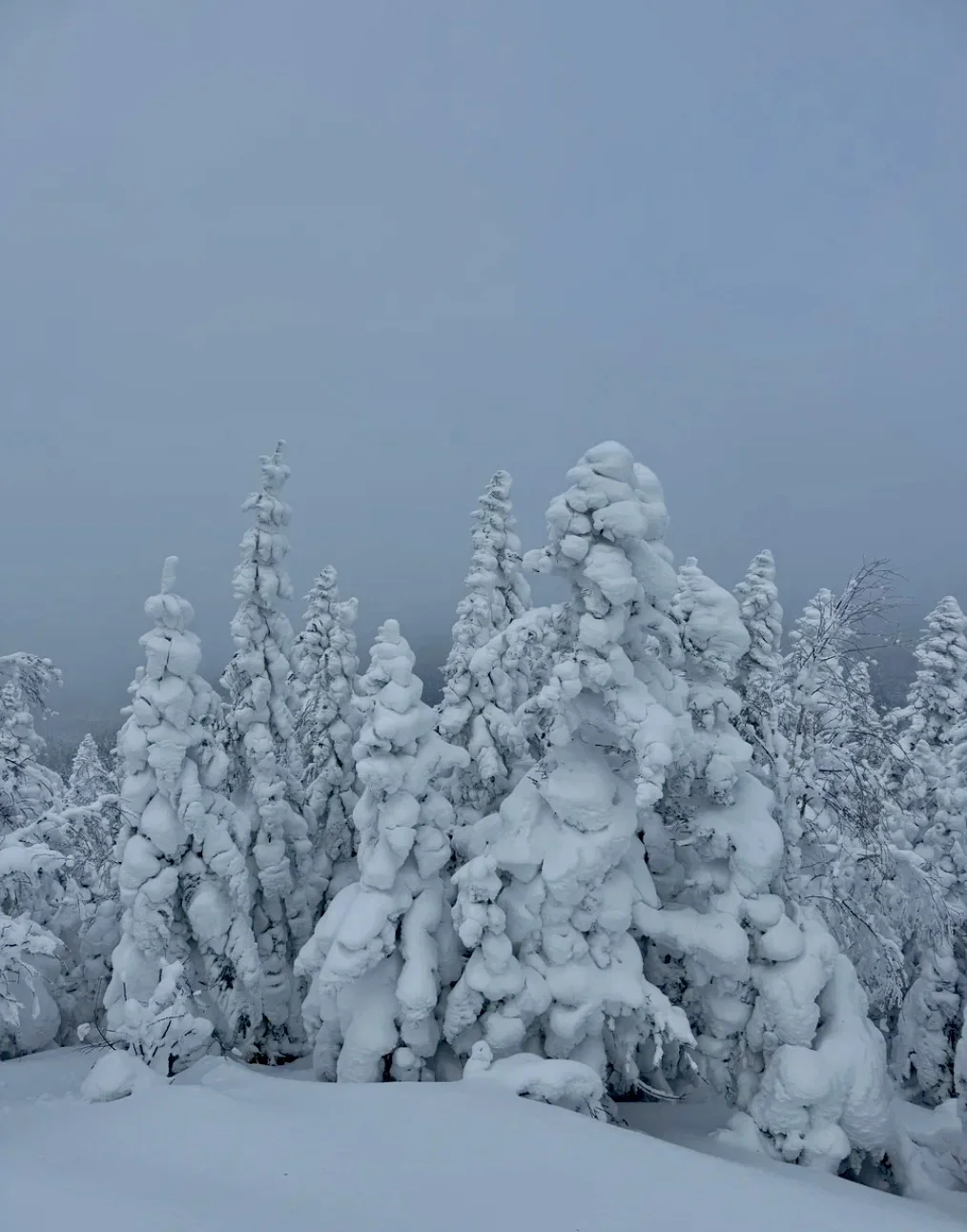 Гора Голец